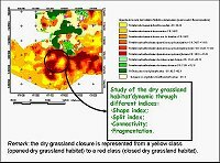 Cliquez pour agrandir