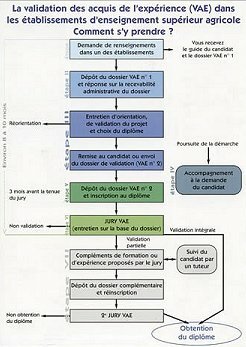 Tlcharger la plaquette VAE