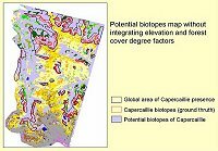 Cliquez pour agrandir