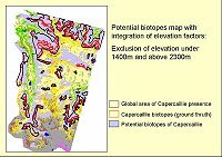 Cliquez pour agrandir