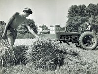 Travaux des champs  Purpan